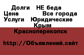 Долги - НЕ беда ! › Цена ­ 1 000 - Все города Услуги » Юридические   . Крым,Красноперекопск